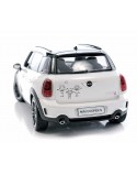 Adesivo auto personalizzabile