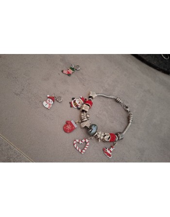 Bracciale modello pandora con charms  acciaio inossidabile